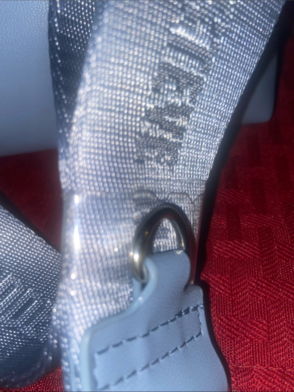 Steve Madden Powder Blue Crossbody with Branded Webbing Strap - Picture 4 of 4